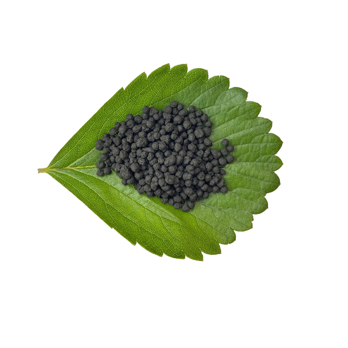 Humic Acid Granules sample